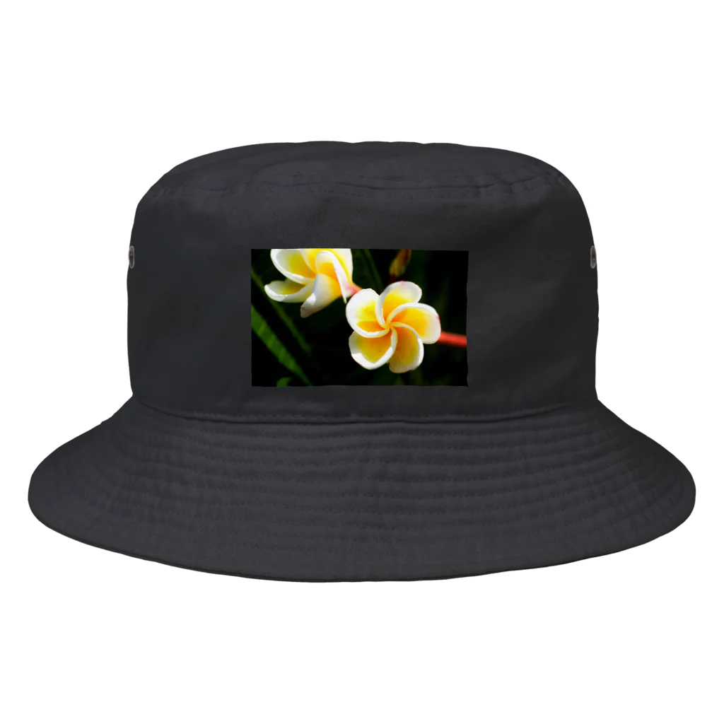 kamakiri3のFlower of the Heart　プルメリア Bucket Hat