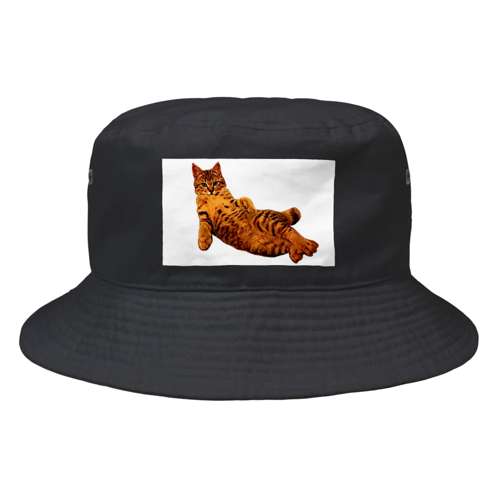 Elegant CatのElegant Cat ③ Bucket Hat