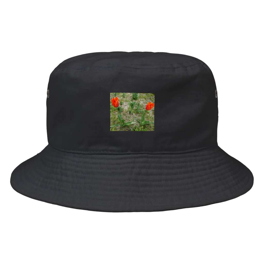 夏来ないでのチューリップ Bucket Hat