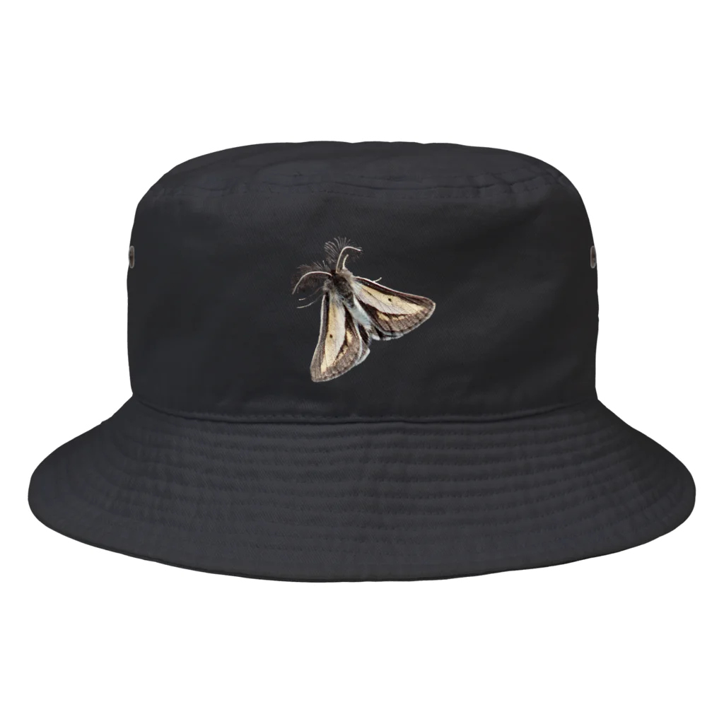 L_arctoaのフチグロトゲエダシャク Bucket Hat