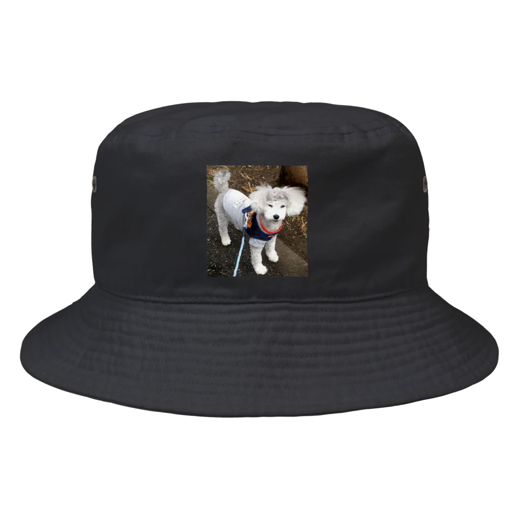 もいもいのもう歩きたくない犬 Bucket Hat