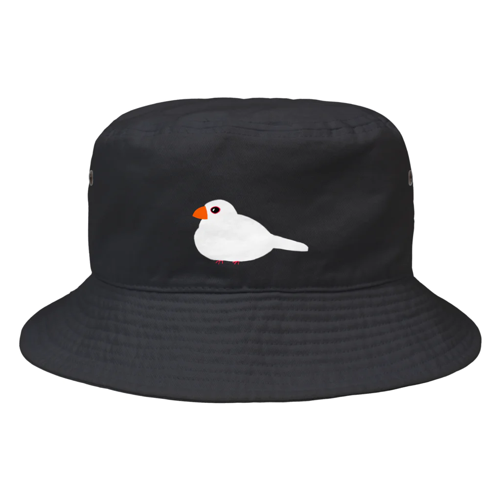 ★Panda Cafe★の白文鳥のぶんちゃん Bucket Hat