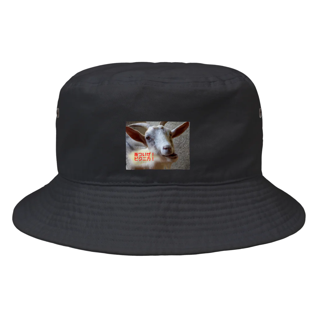 ふれあい動物園ピクニカ共和国のあついぜ！ピクニカ! Bucket Hat