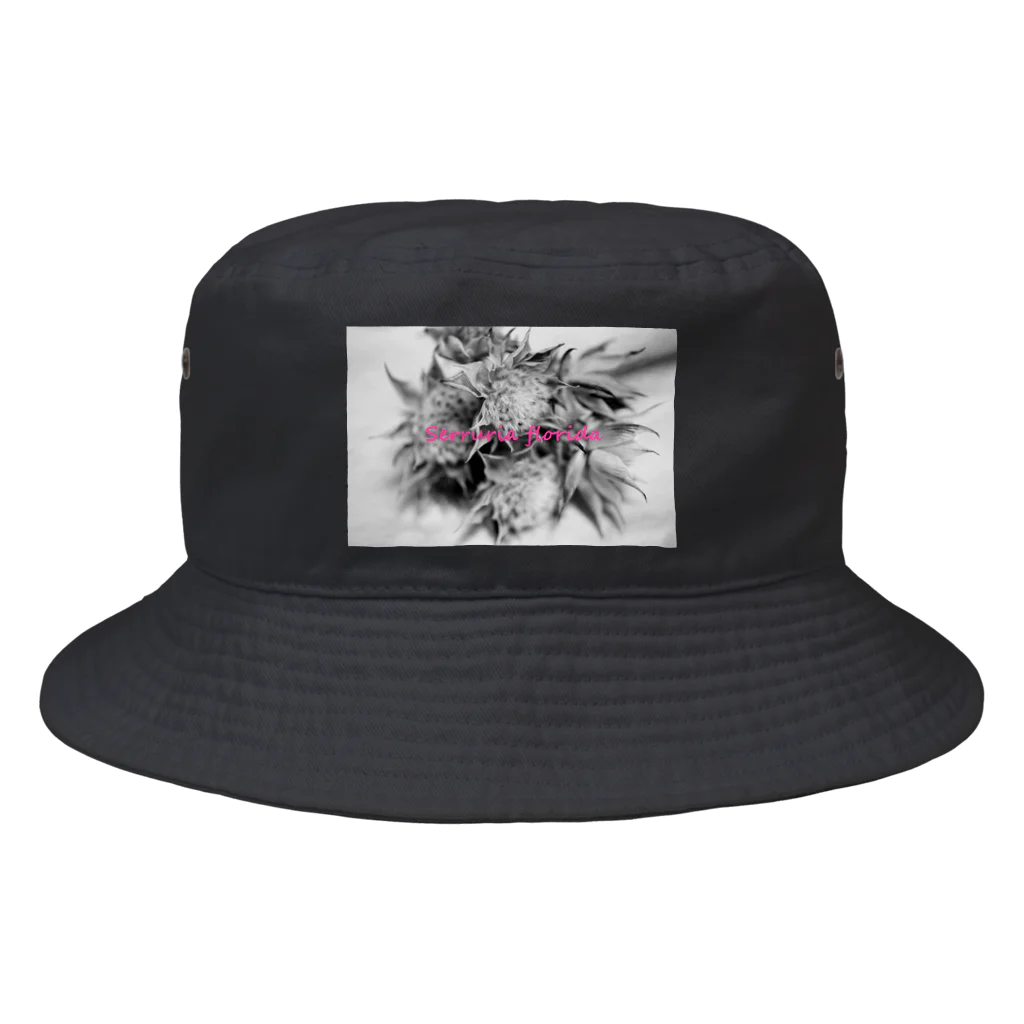 photo-kiokuのセルリア Bucket Hat