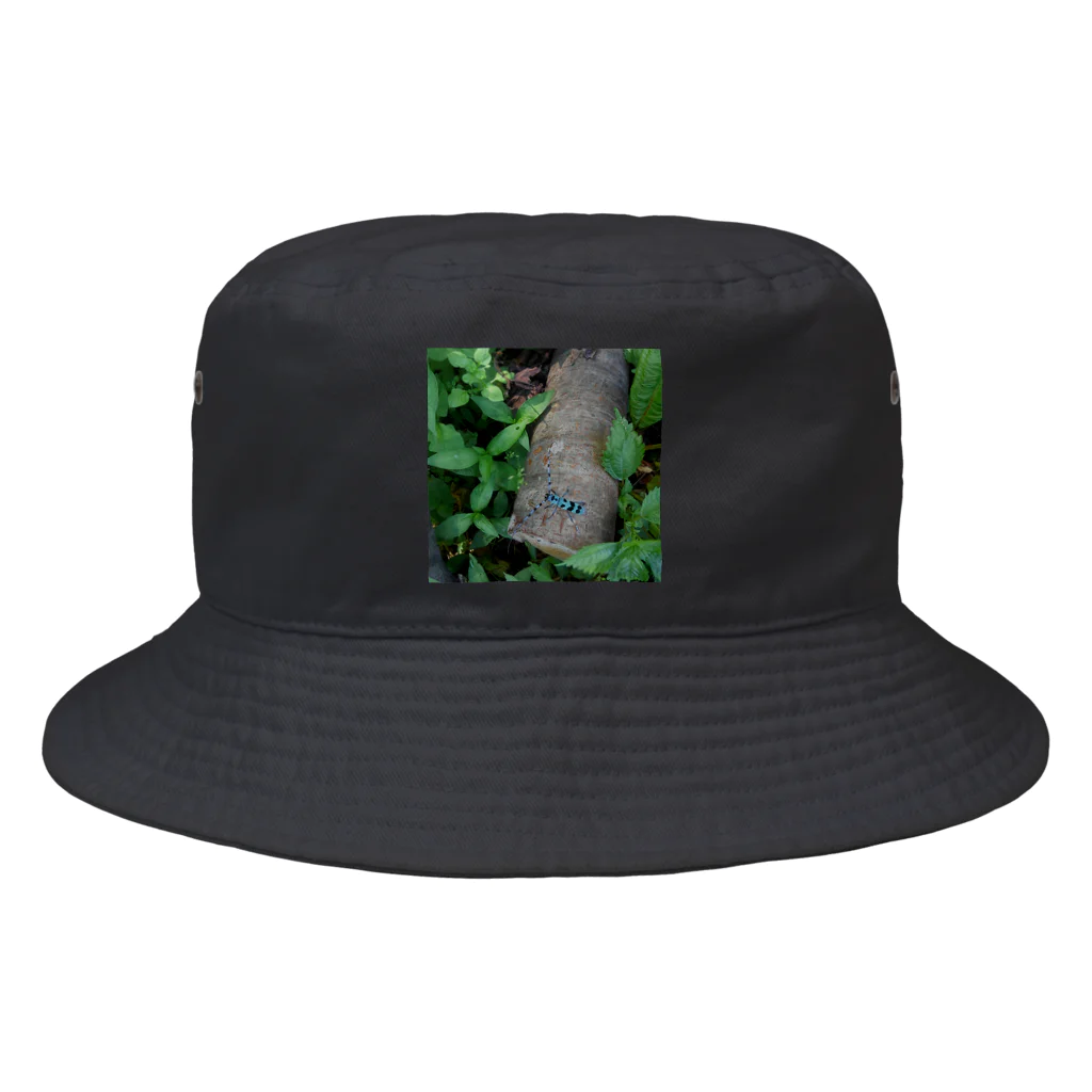 ミクロのルリボシカミキリくん Bucket Hat