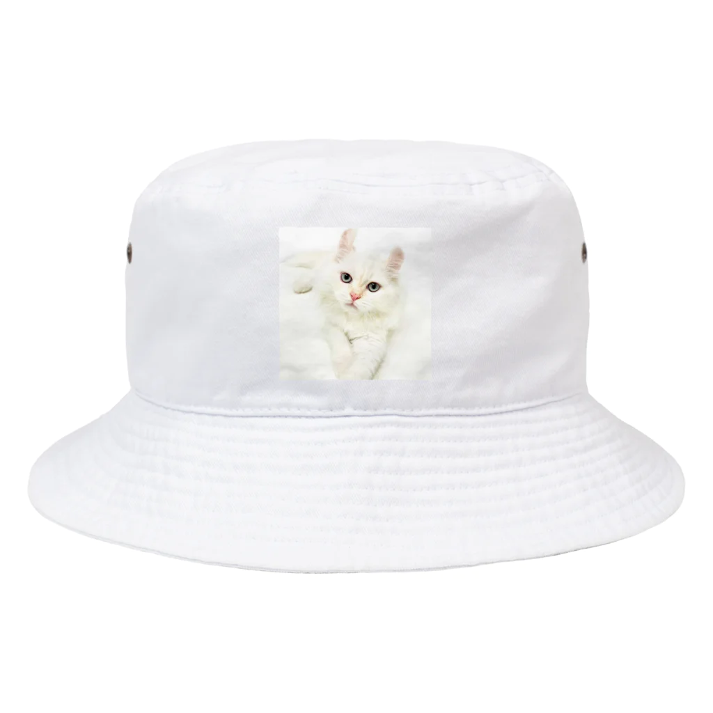 Milkoftheguineapigの白猫 Bucket Hat