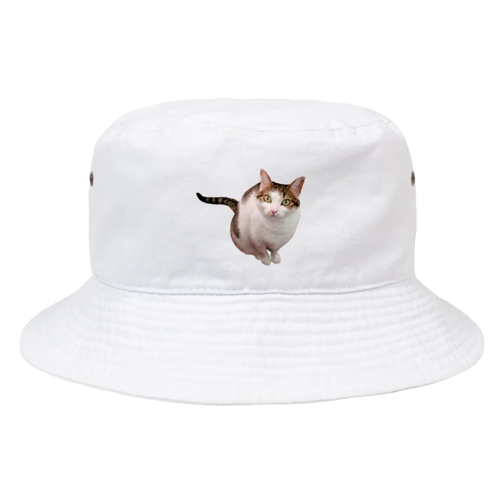 桃くるみSHOPの遊んでにゃん Bucket Hat