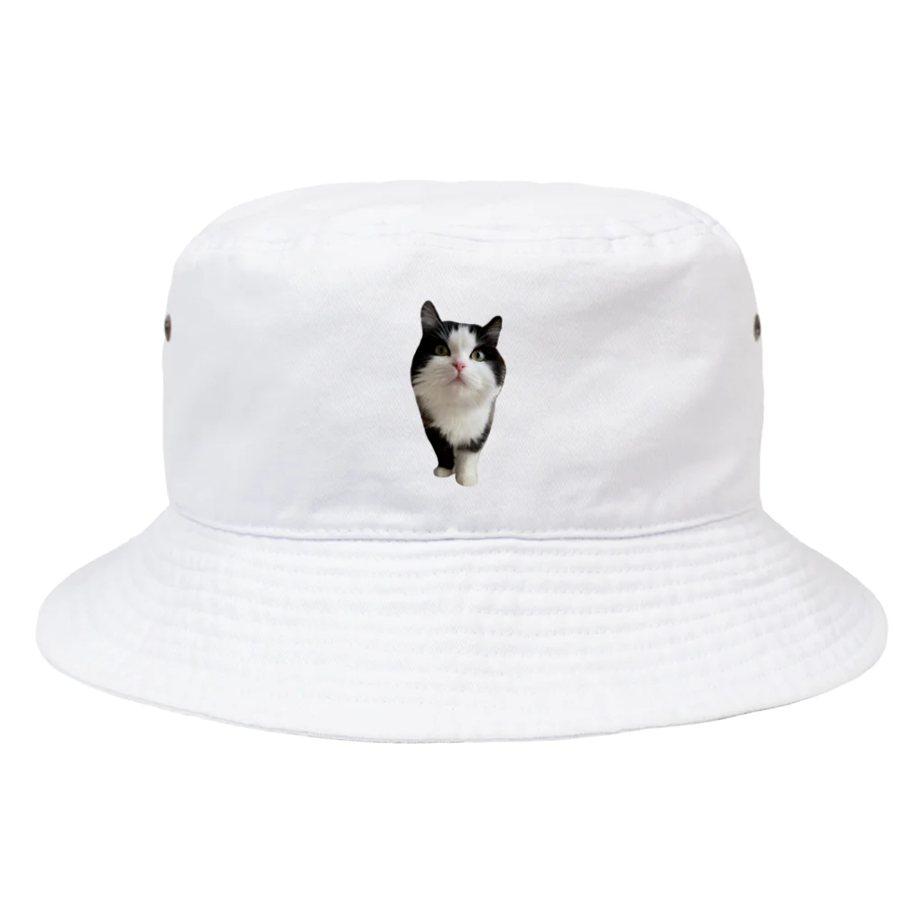 きねぶち温泉のﾌﾝｽｯきょうちゃん文字なしver. Bucket Hat