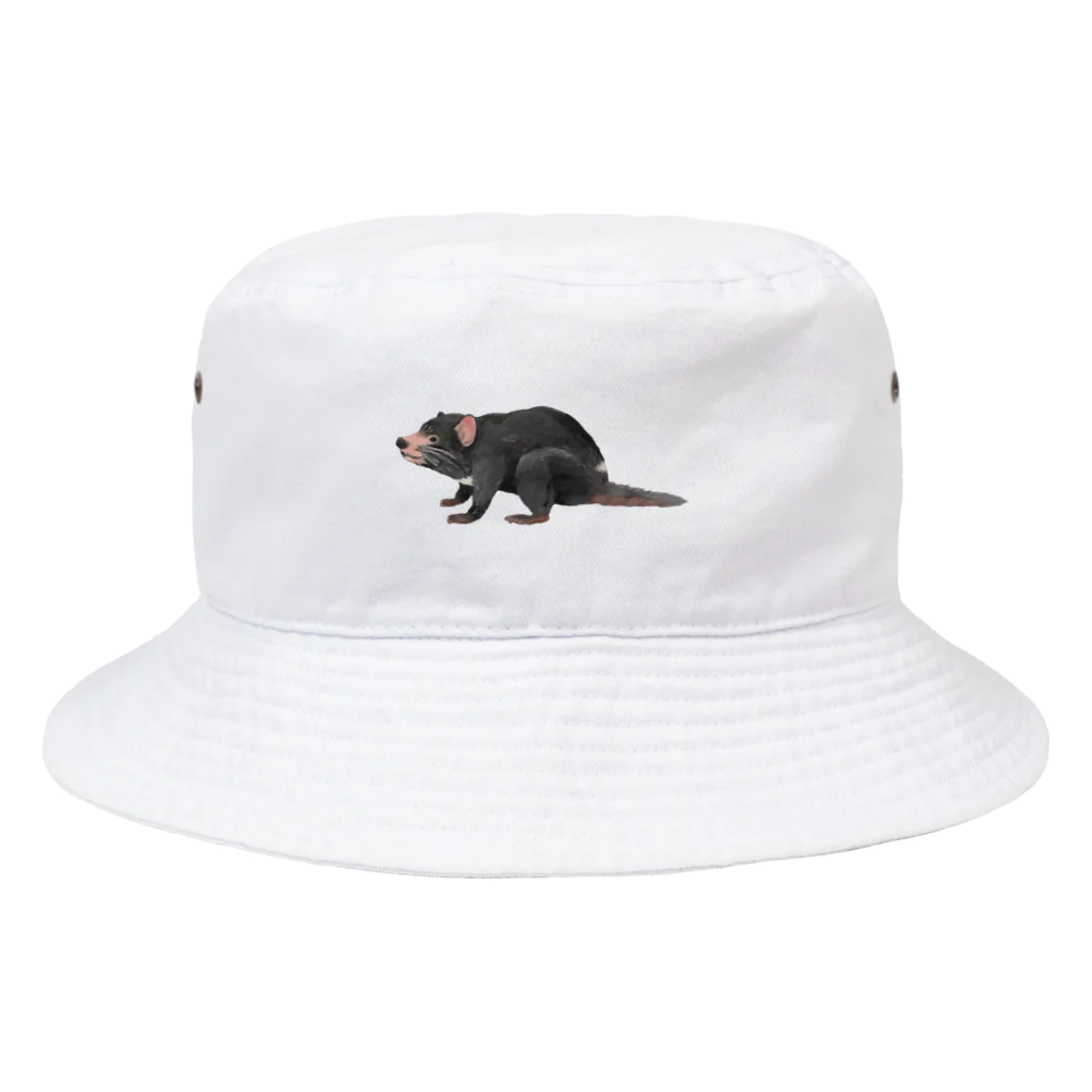 🐶シュナといろいろ🎨のタスマニアデビル Bucket Hat