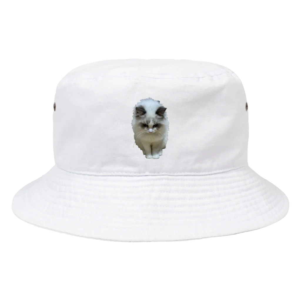 ぱわー!の飼い猫のグッズ4 Bucket Hat