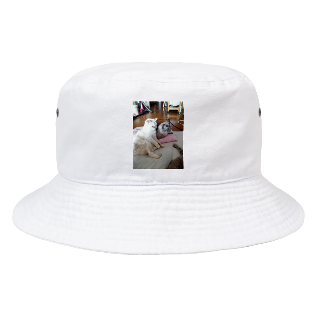 ねこの森でお散歩のお座りポテチちゃん達の談笑 Bucket Hat