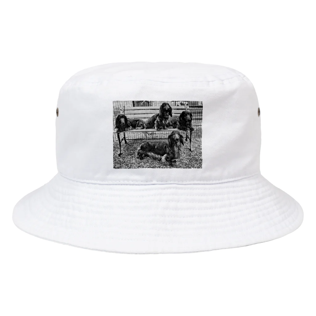 ドッグハウスベティの兄妹ダックス Bucket Hat