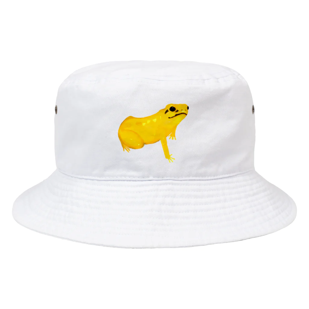 EcologyOnline（エコロジーオンライン）のモウドクフキヤガエル Bucket Hat