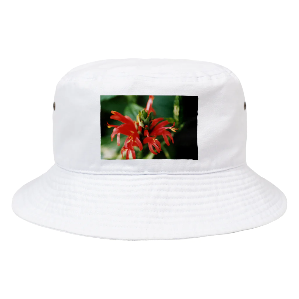 Dreamscape(LUNA)のレッドフラワー Bucket Hat
