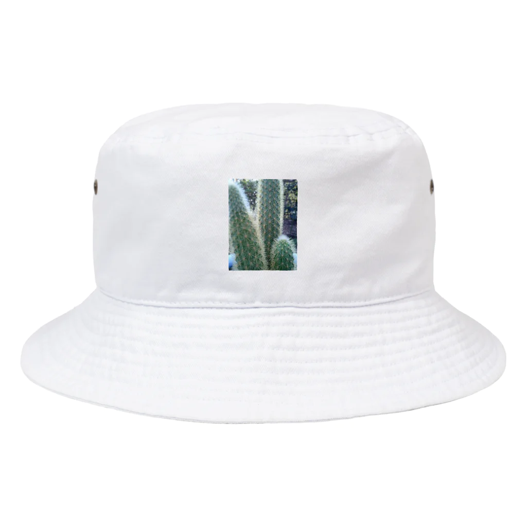 Dreamscape(LUNA)のサボちゃん Bucket Hat