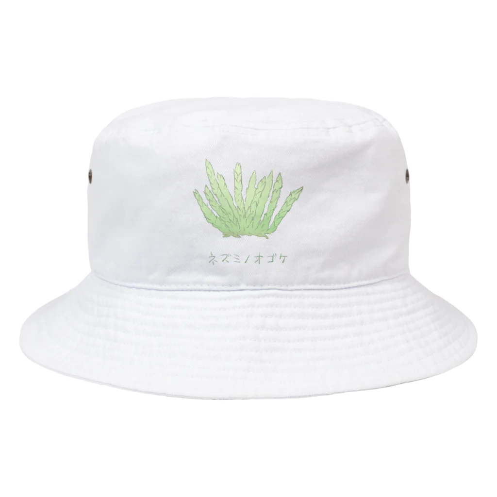 Yuzurium -ユズリウム- 苔テラリウムのネズミノオゴケ【苔グッズ】 Bucket Hat