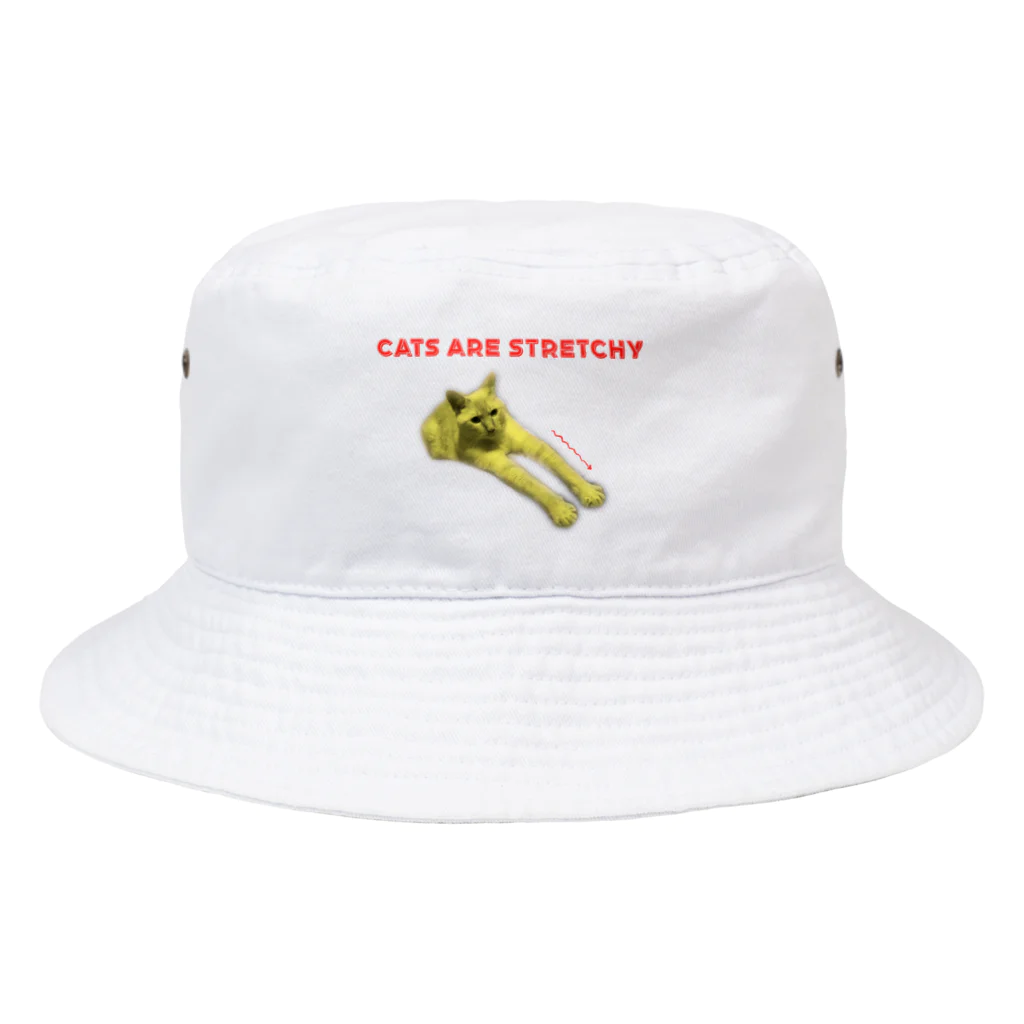 イエネコの猫は伸びる Bucket Hat