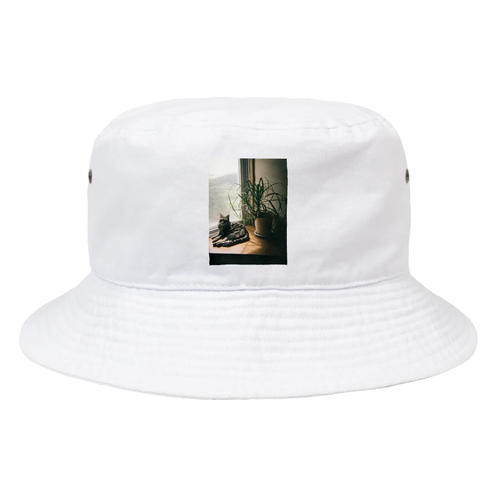 毎日ころりんの猫の写ルンです Bucket Hat