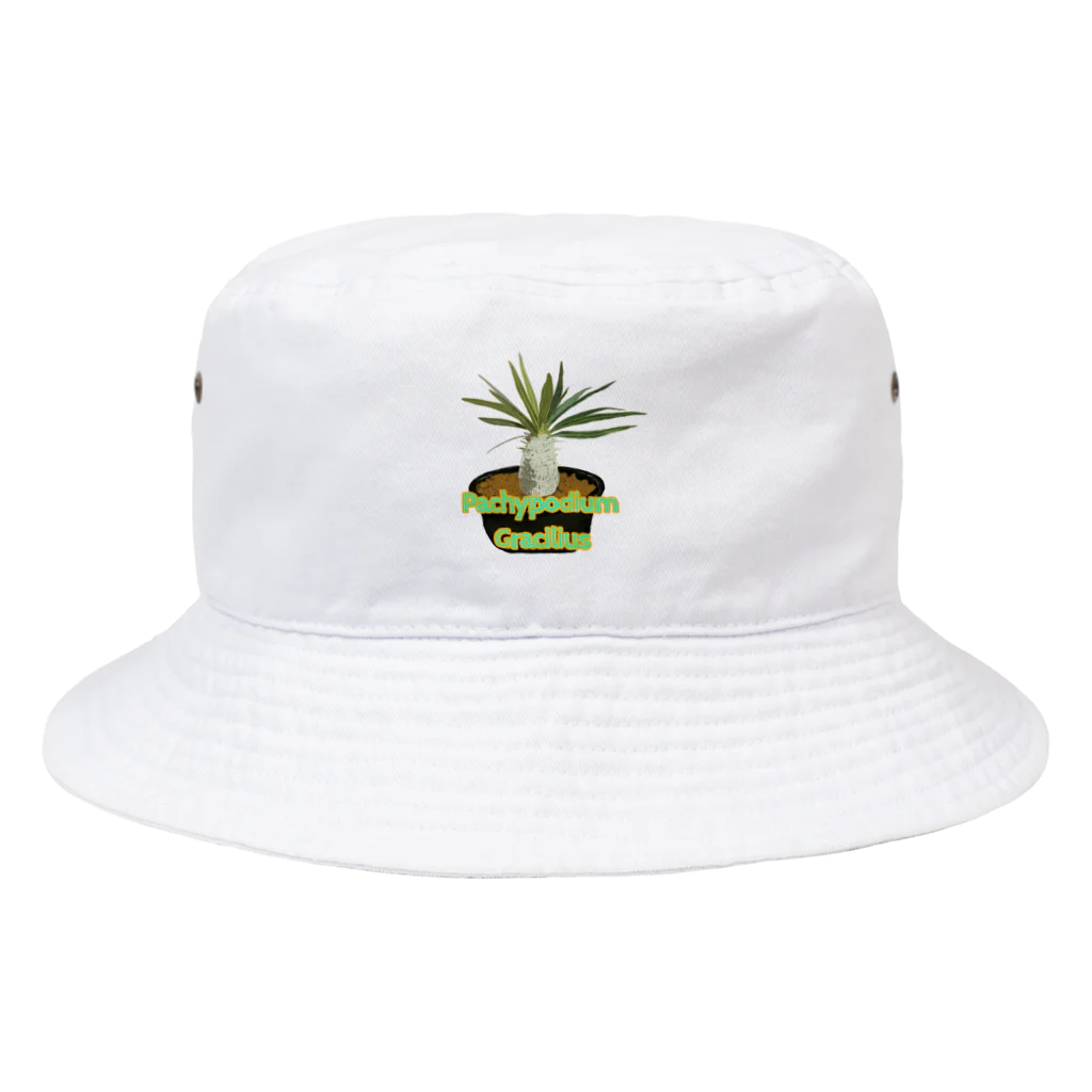 momoのPachypodium Gracilius Bucket Hat