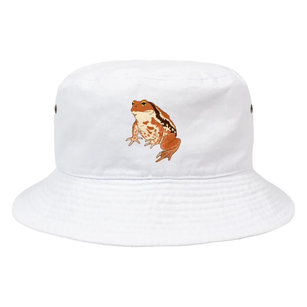 LalaHangeulのヒキガエルさん　文字無し Bucket Hat