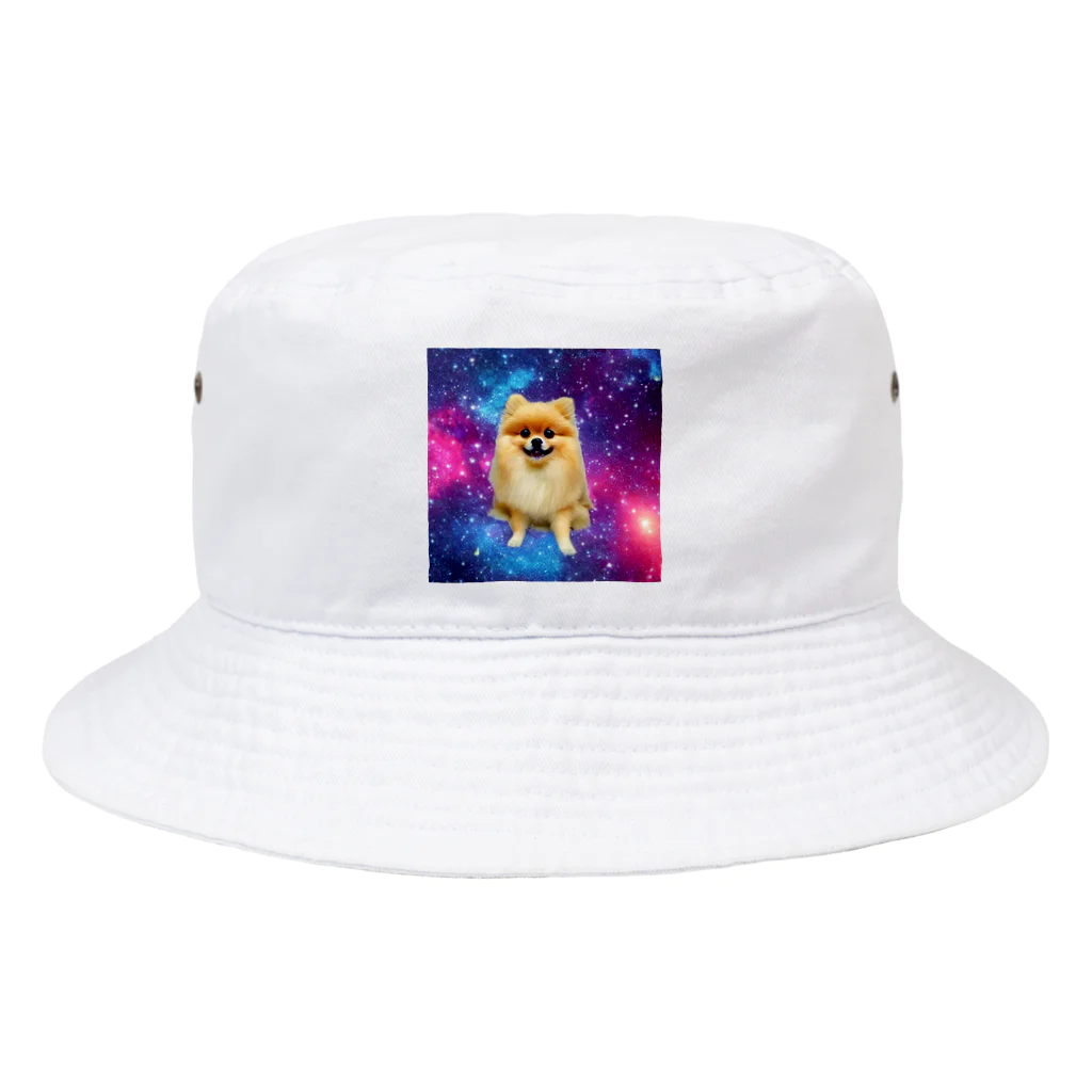 ポメラニ･アンのCOSMOS Bucket Hat