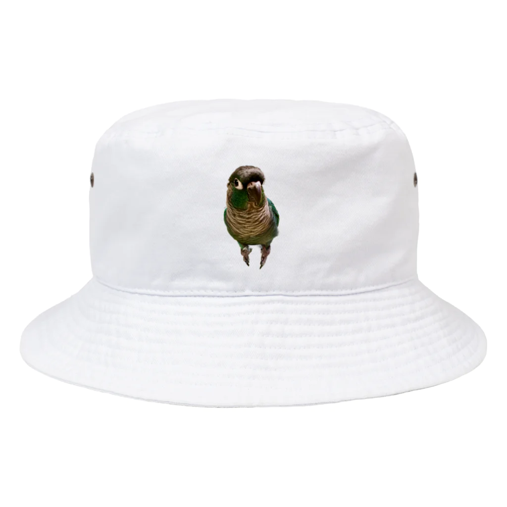 ウロコインコの翠のグッズショップのウロコインコの翠【おすましver】 Bucket Hat