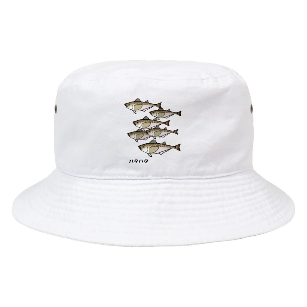 脂身通信Ｚの【魚シリーズ】ハタハタ♪群れ♪221208 Bucket Hat