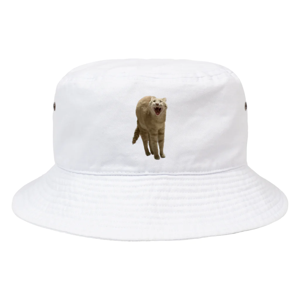 茶トラねこずのあくび猫のシロ Bucket Hat