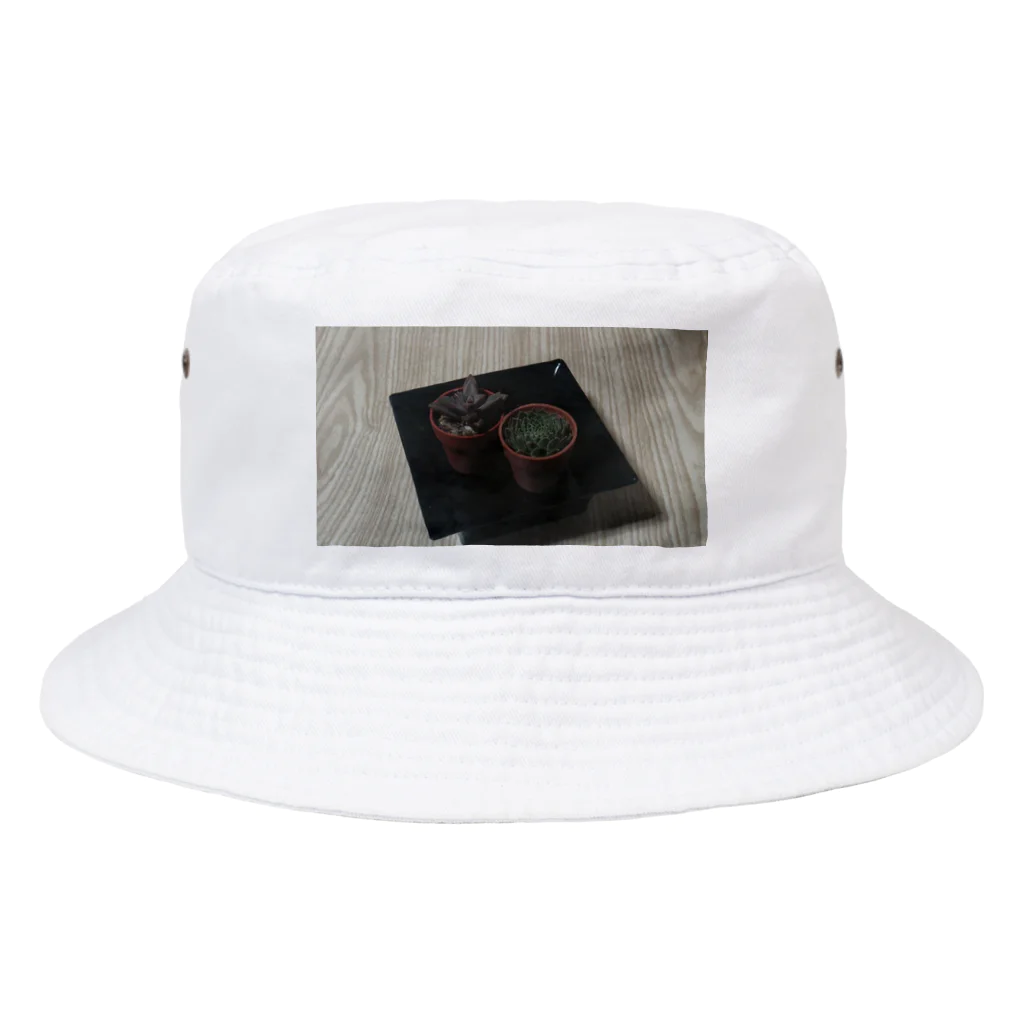 迷い猫の溜まり場のさぼてん Bucket Hat