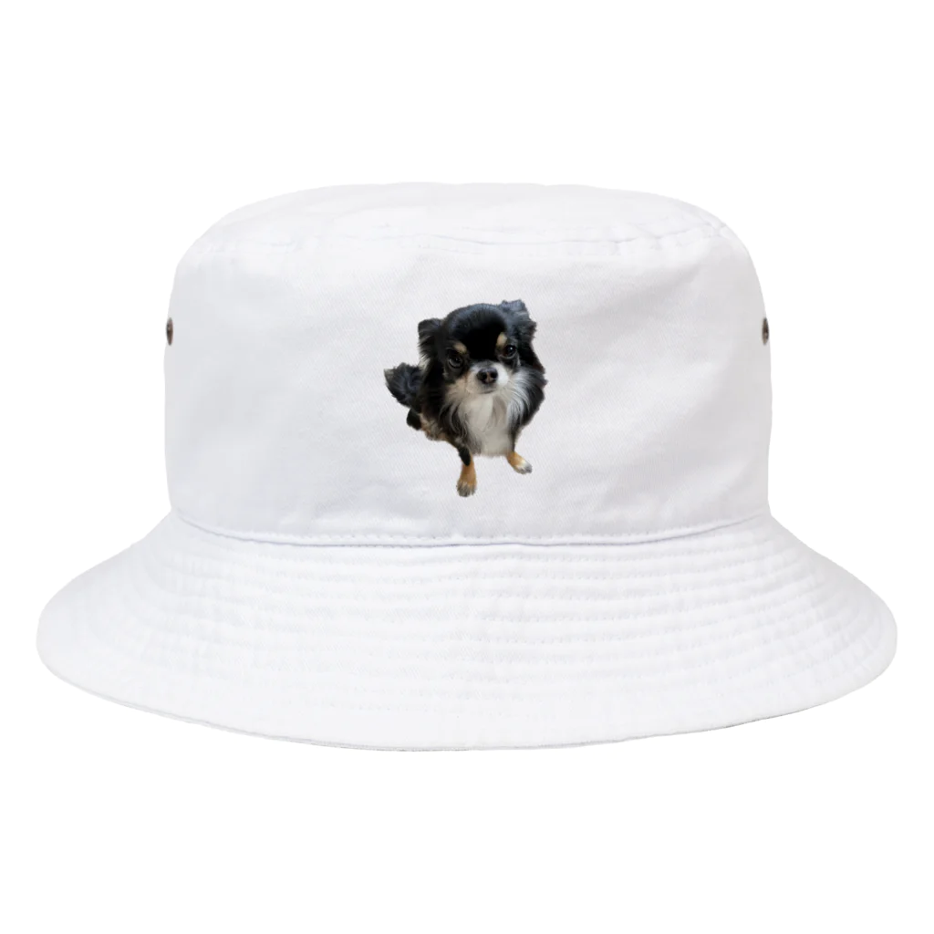 ちわわのりんちゃんのちわわのりんちゃん Bucket Hat