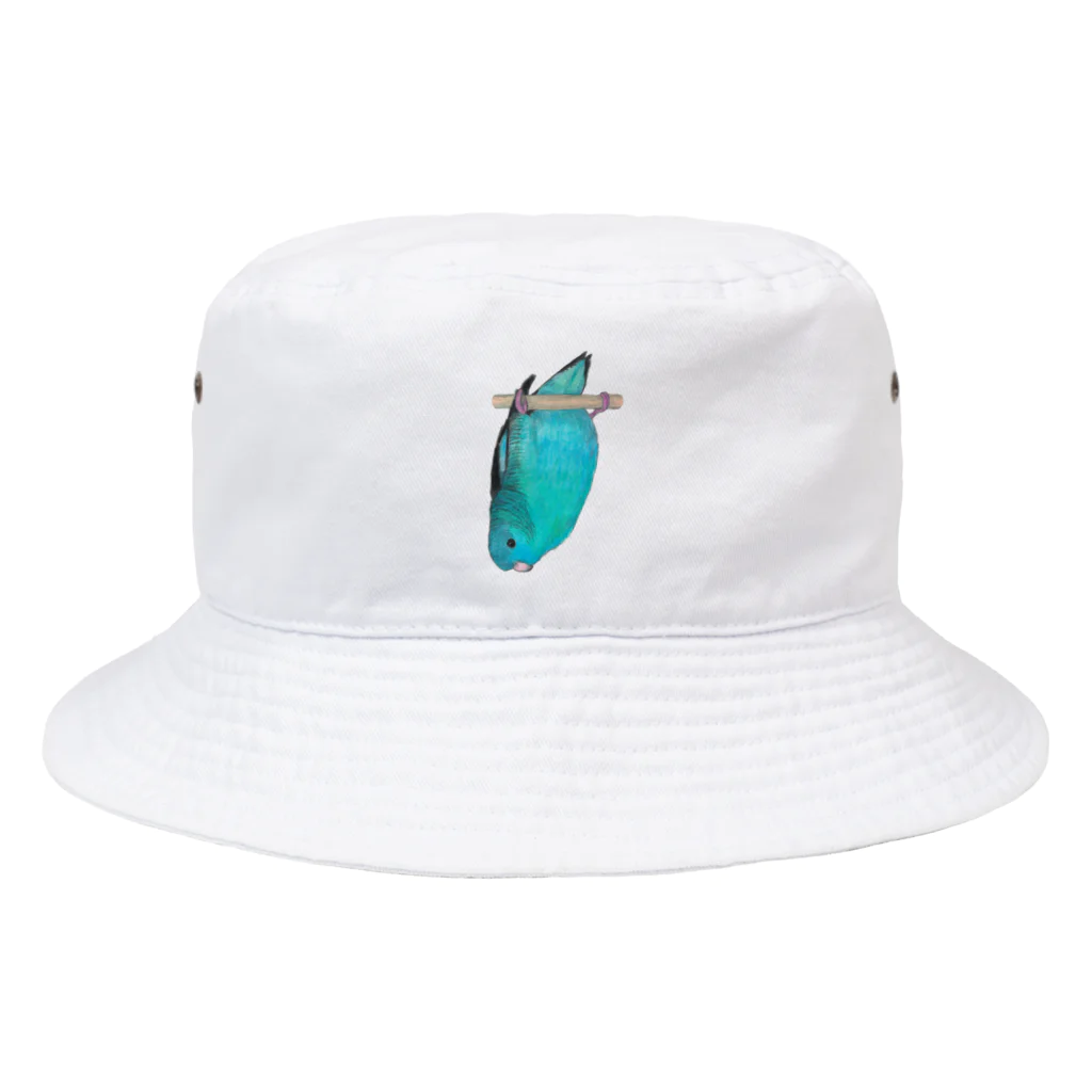 森図鑑の[森図鑑] サザナミインコ水色 Bucket Hat