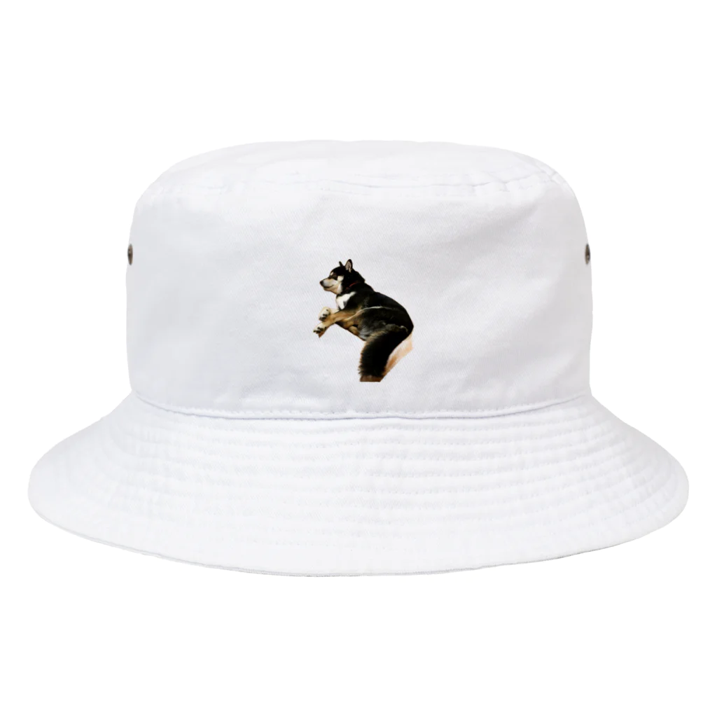 achahiの黒柴犬　ジョシーバ　癒し Bucket Hat