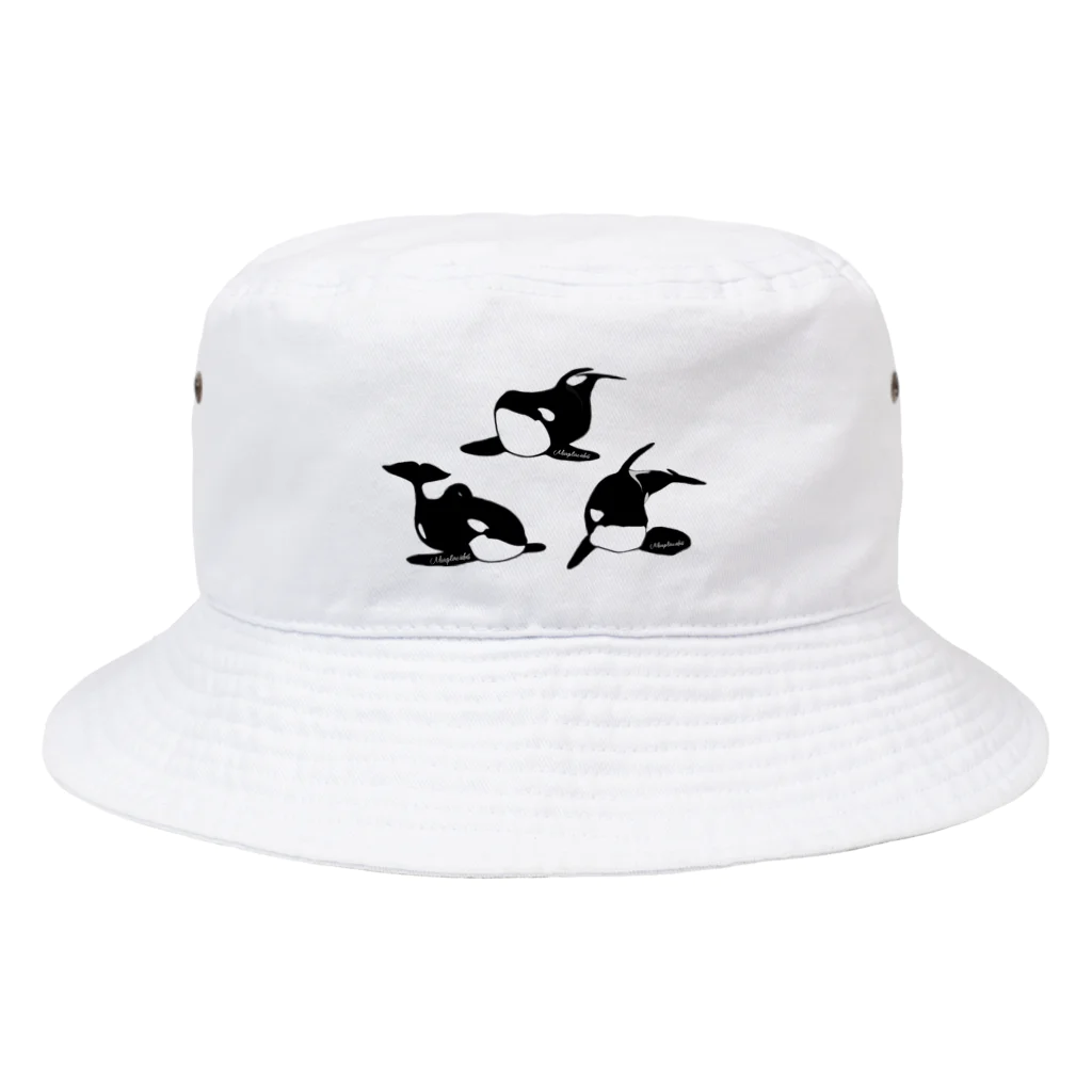 Miaplacidus（ミアプラ）の3頭集合 Bucket Hat