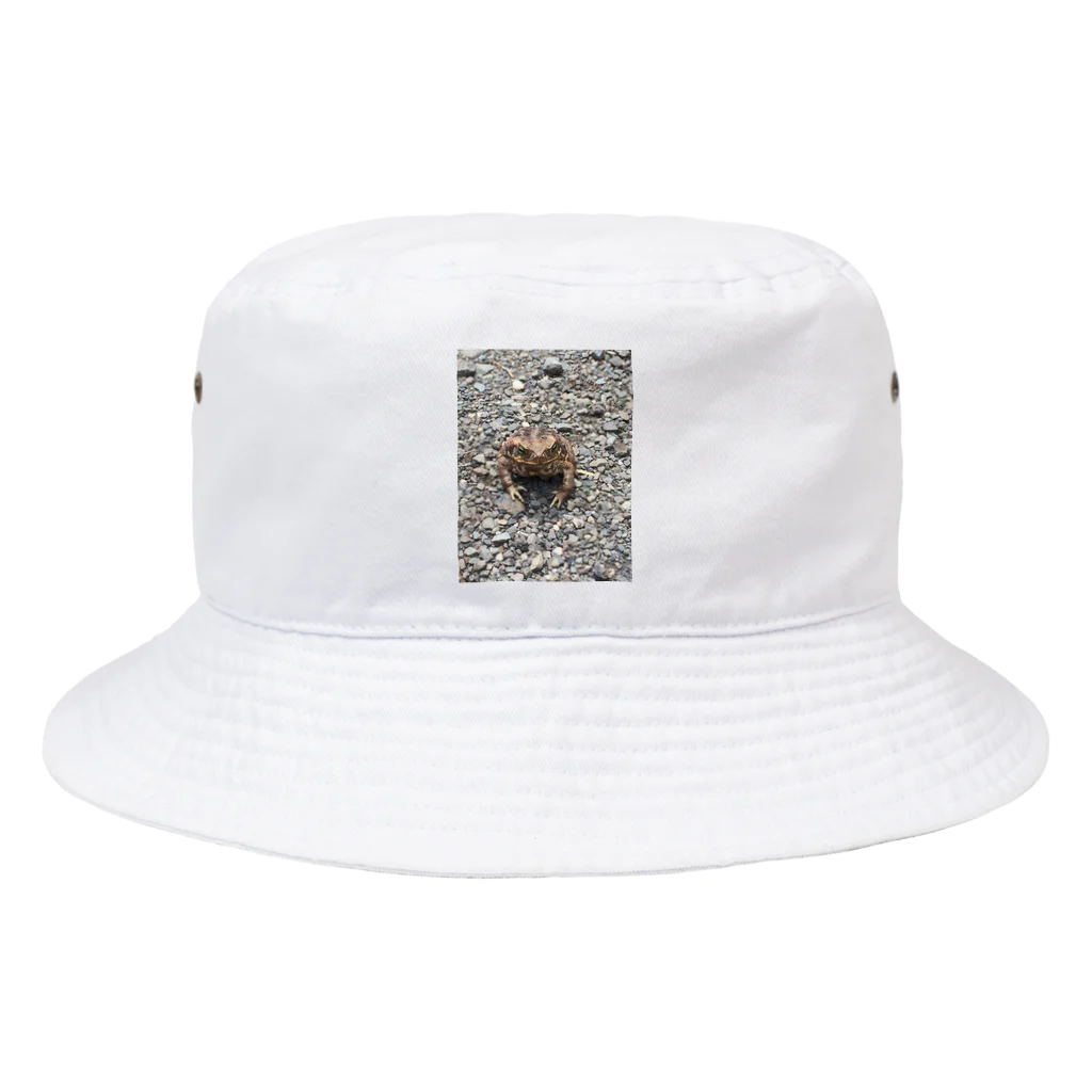 shirankedo_46のカエル Bucket Hat