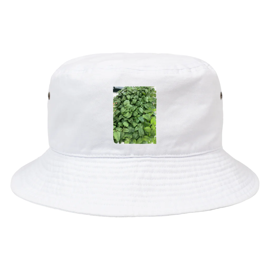 shiori002のレモンバームくん Bucket Hat