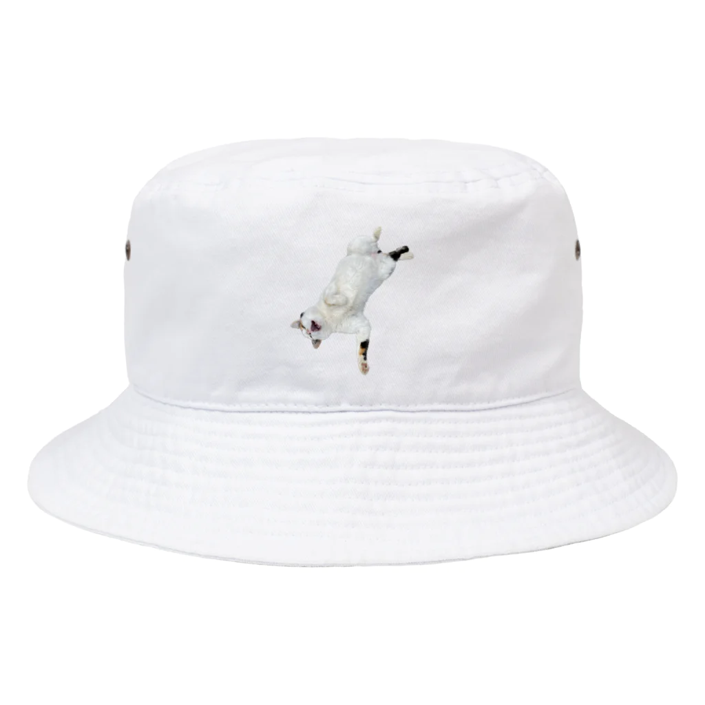 米農家の絵描きのにゃんた Bucket Hat