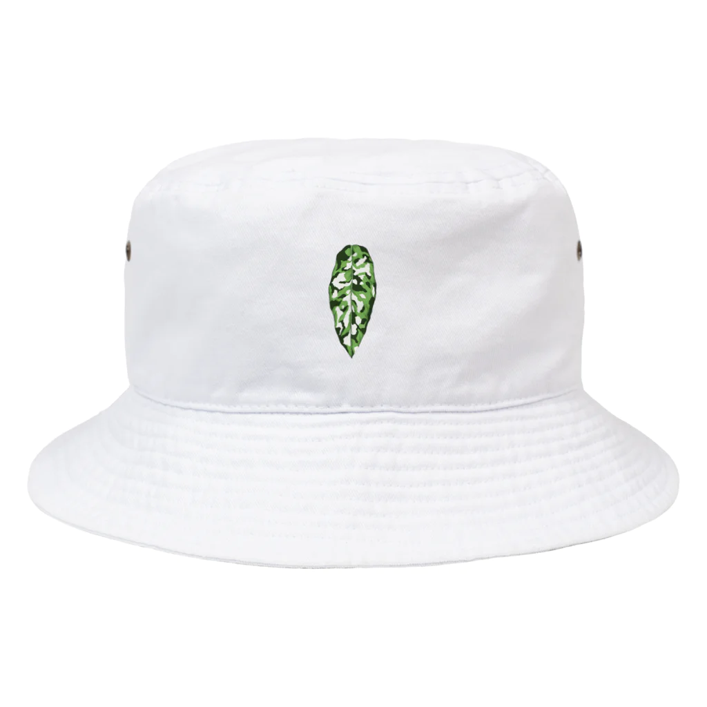 silverafricana のアグラオネマ　ピクタム　トリカラー Bucket Hat