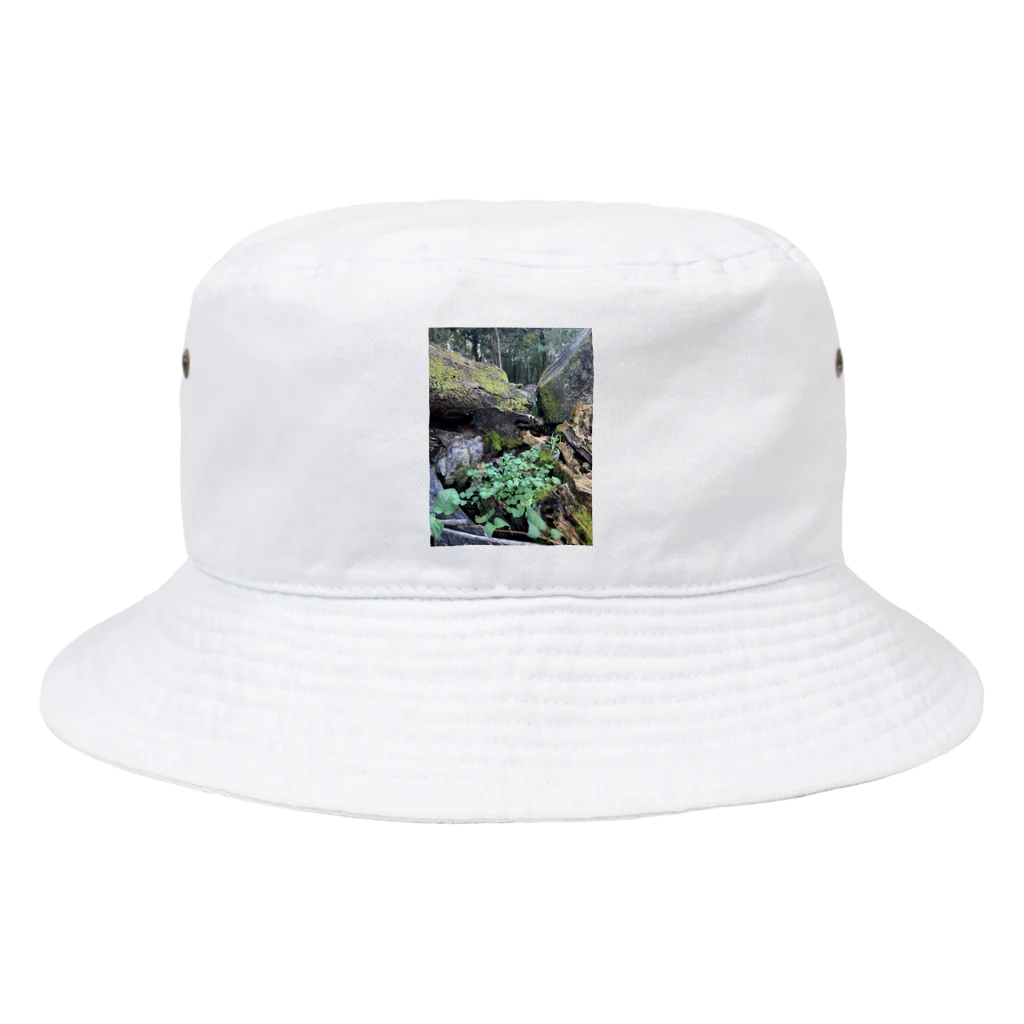 FIRE FLYの多様性の森 Bucket Hat