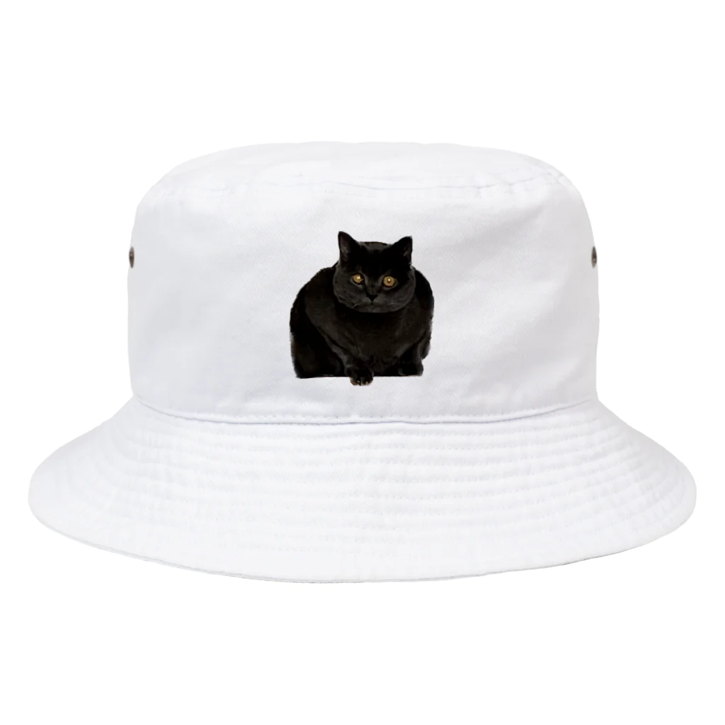 ててちゃんのおみせのI am ready. Bucket Hat