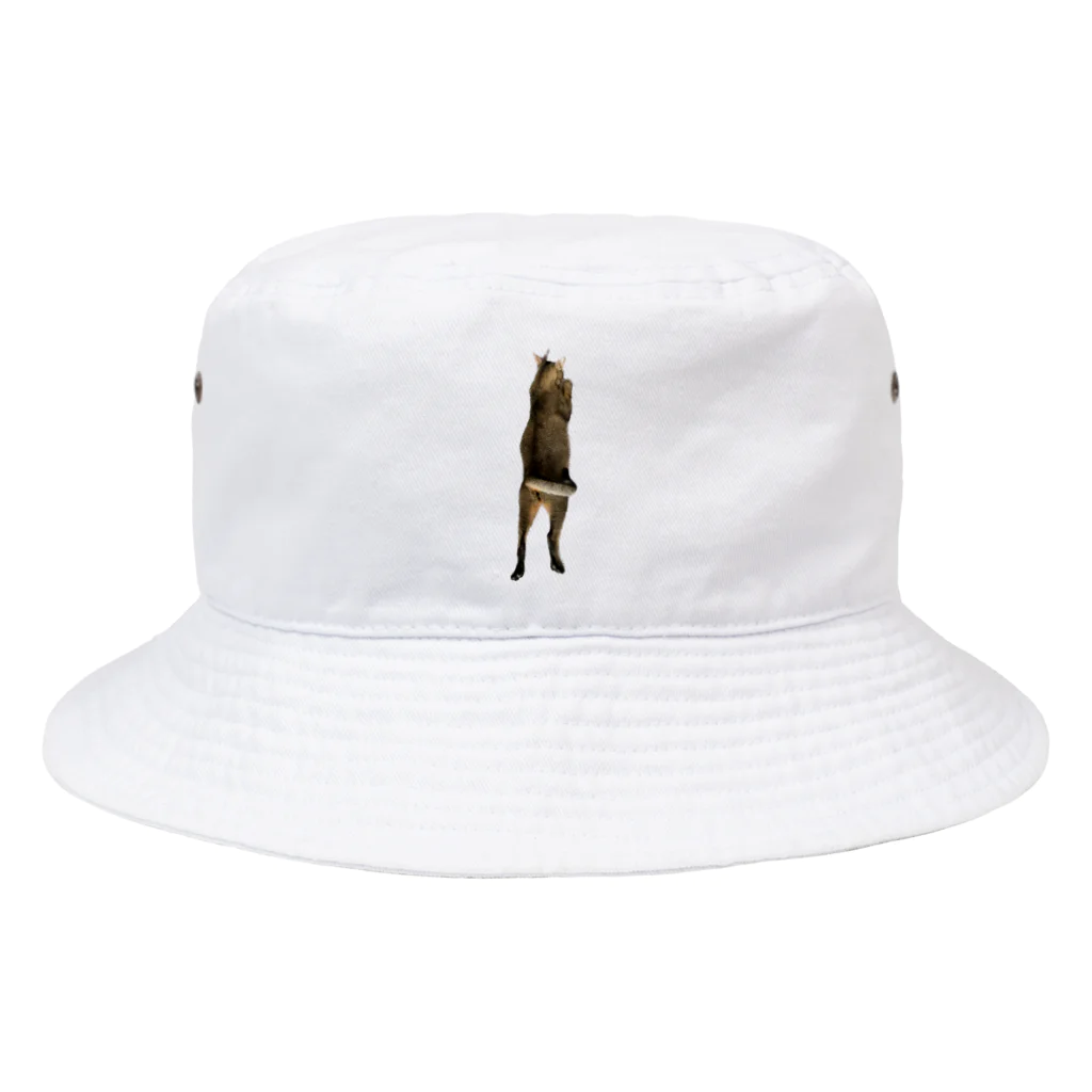 QDAのQAMALくん Bucket Hat