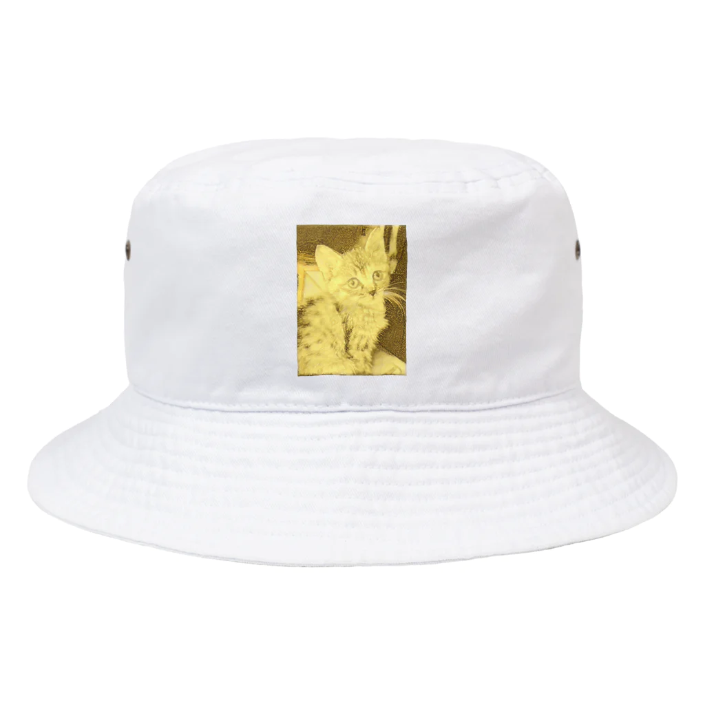 金色猫のキラキラネコ Bucket Hat