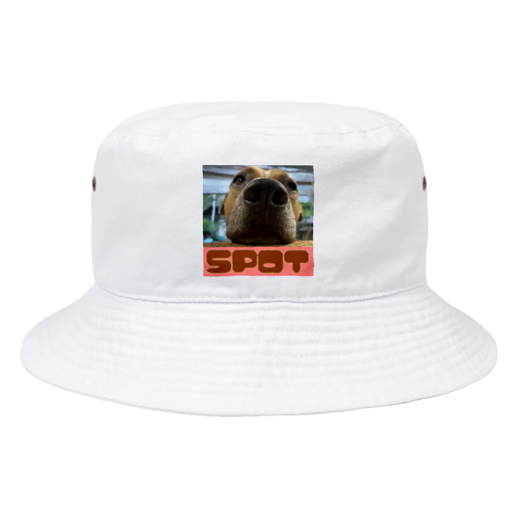 UDKshopのアメリカンピットブルのスポット君のグッズ Bucket Hat