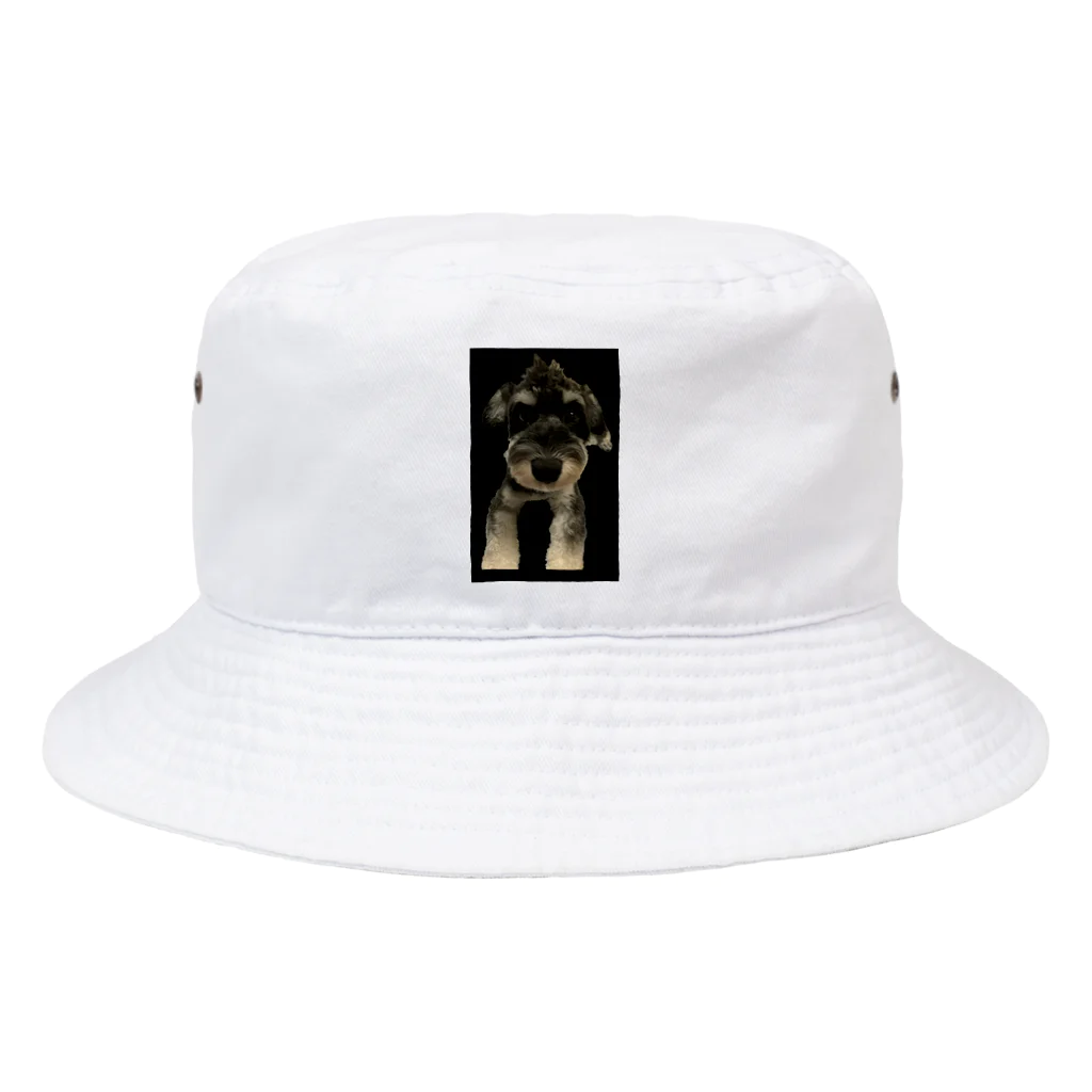 hanamarukuのシュナウザー　グッズ　キュート Bucket Hat