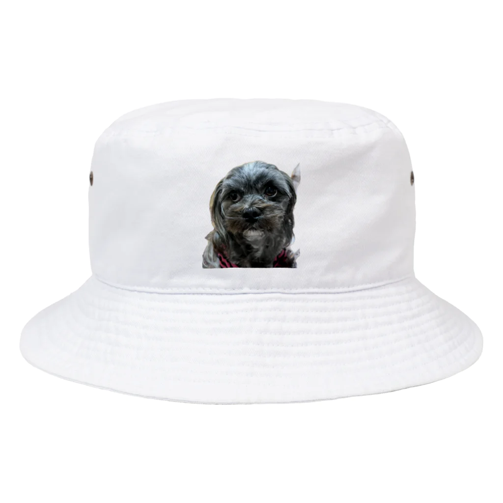 みたらし団子のふたたまちゃんの可愛いわんちゃん Bucket Hat