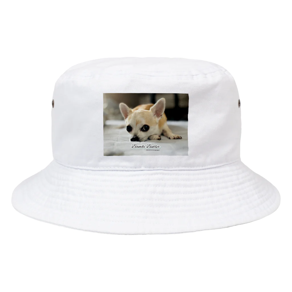 犬執事・ドッグバトラーのバンビ君ショップの世界初！本物の犬執事・ドッグバトラーのバンビ君 Bucket Hat