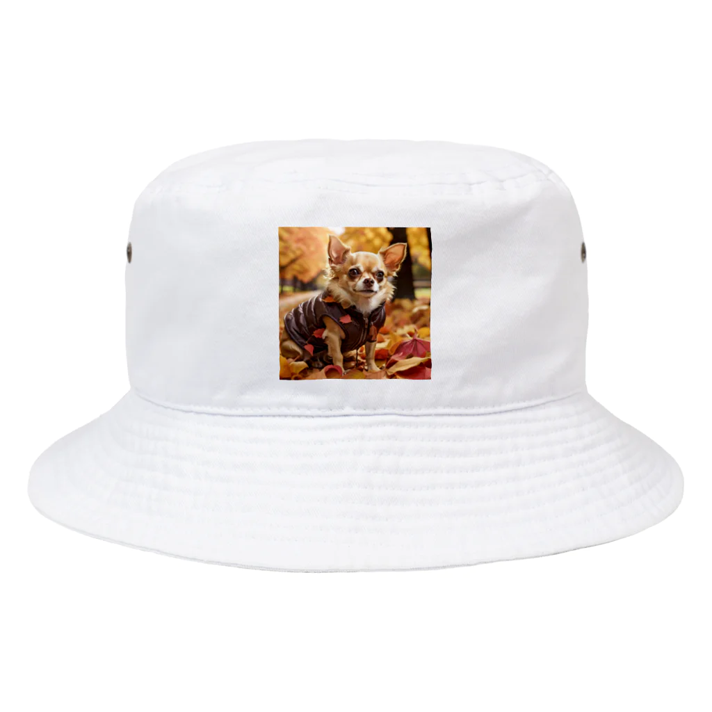 チワワ愛好家ショップの鮮やかな紅葉の中で、チワワは華やかな装いでお披露目 Bucket Hat