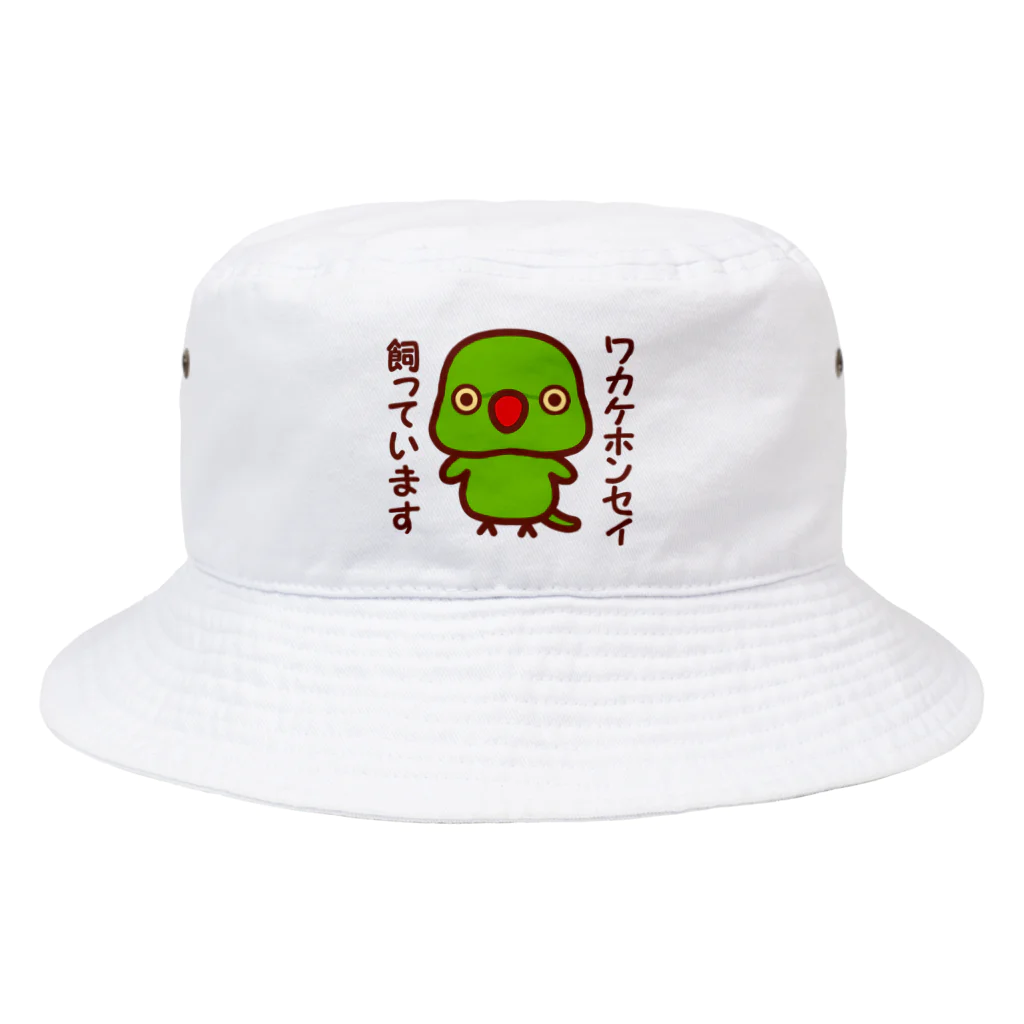 いんこ屋堂のワカケホンセイインコ飼っています（ノーマル/メス） Bucket Hat