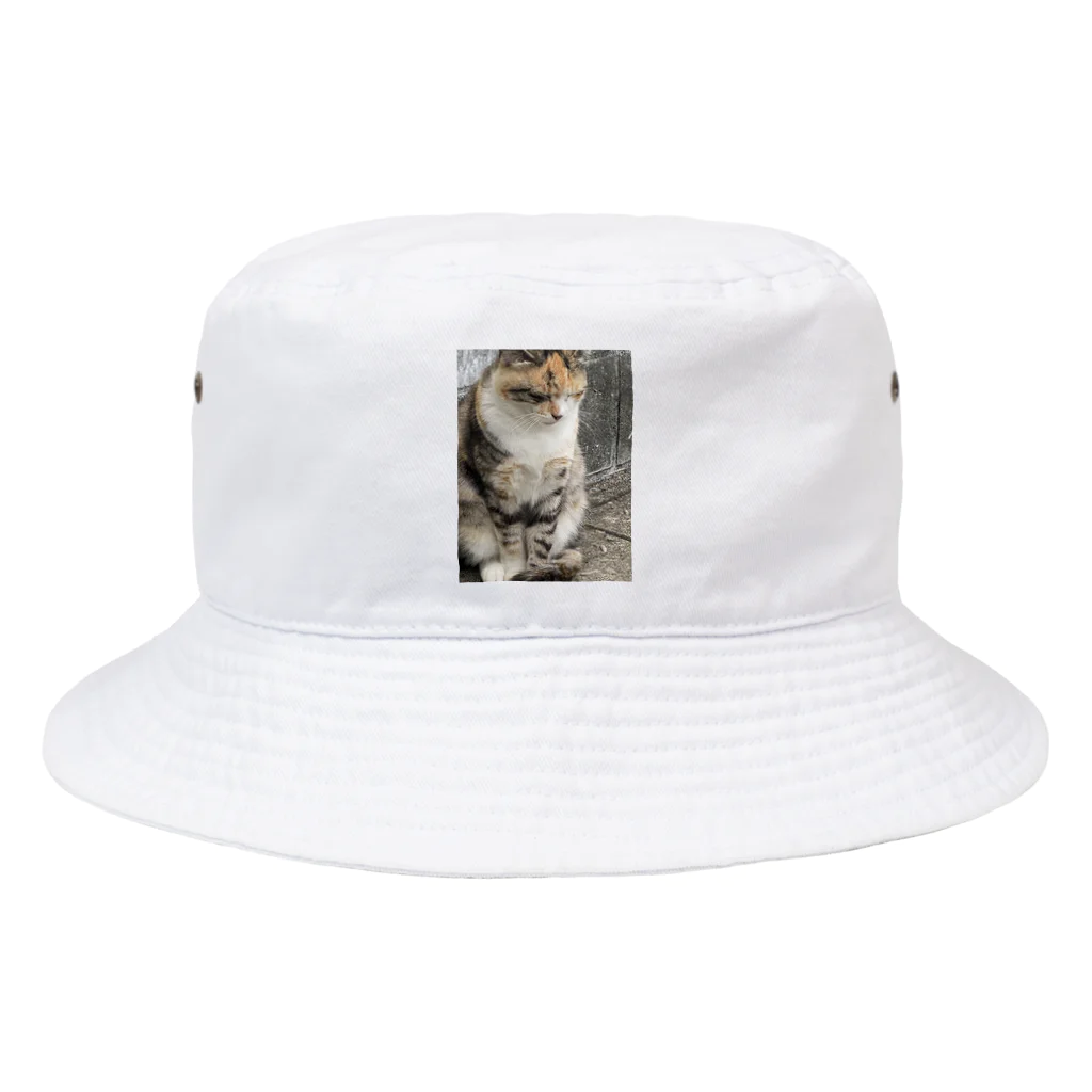 Uターン柴の立ち寝ネコ Bucket Hat