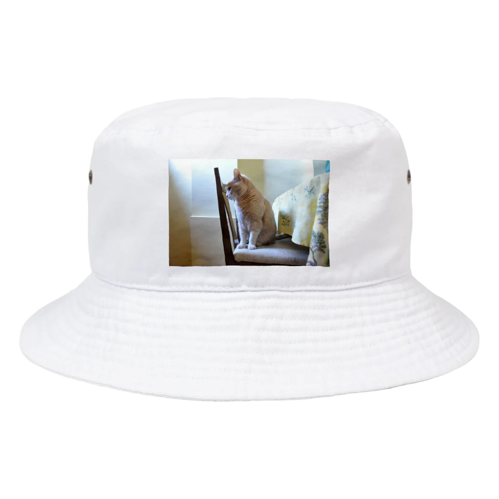 ねこかわたすかるのねこかわたすかる9 Bucket Hat