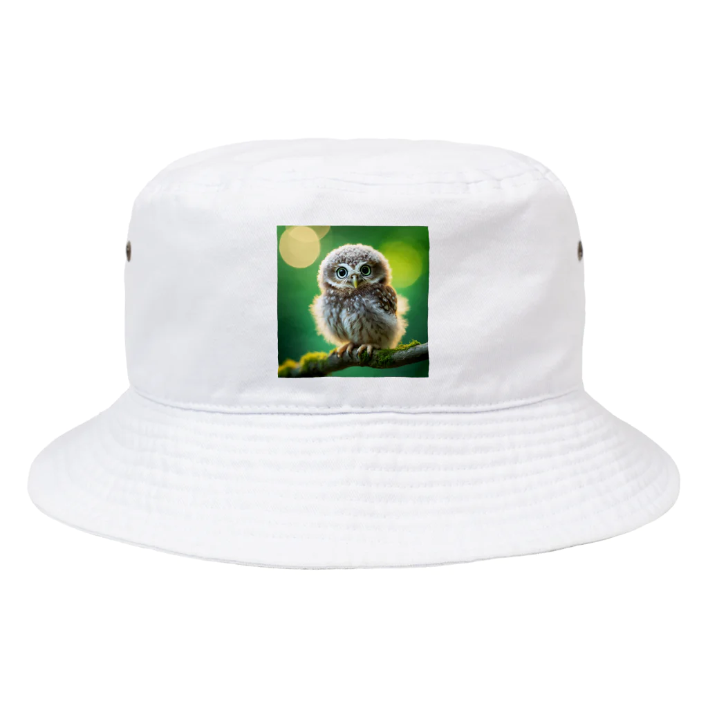 Animal Canvas Collectionの森のふくろう Bucket Hat